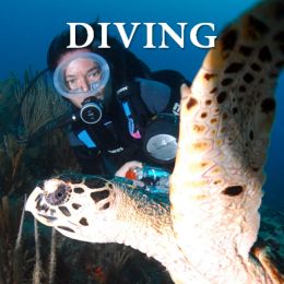 Cuan Law Scuba Diving