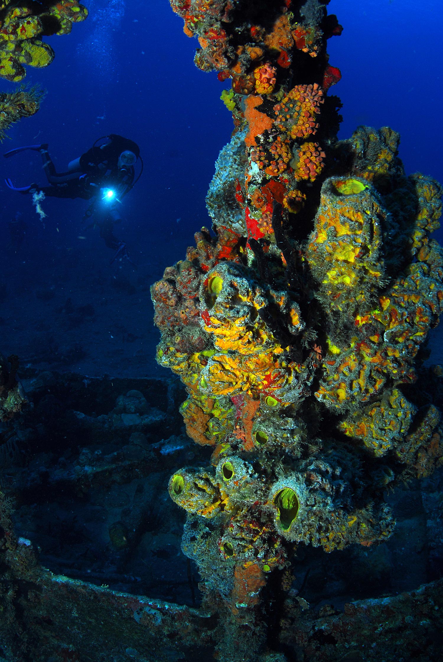 diving the British Virgin Islands